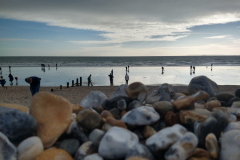 Bracklesham-Bay-Field-Trip-1