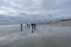 MAY-Bracklesham-5