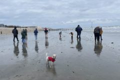 MAY-Bracklesham-8