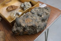 APRIL-Celtic-Harmony-27