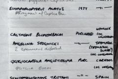 P14-trilobite-notebook-record