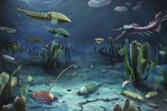 P8-Cambrian-Explosion-Source-Zhixin-Sun-Fangchen-Zhao-Han-Zeng-Cui-Luo-Heyo-Van-Iten-Maoyan-Zhu-Wikimedia-Commons