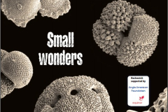 cover-issue102