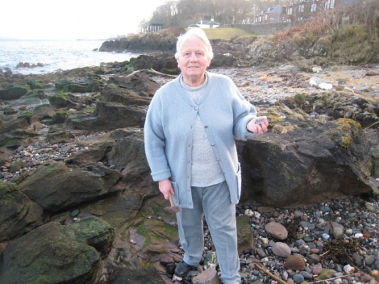 58-tree-fossils-on-treasure-island