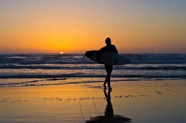 61-the-science-of-surf