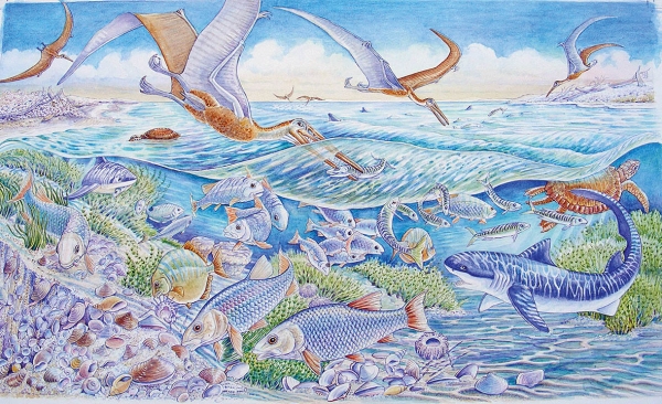 73-reading-the-jurassic-rocks
