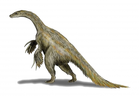 73-therizinosaurus-a-dinosaur-oddity