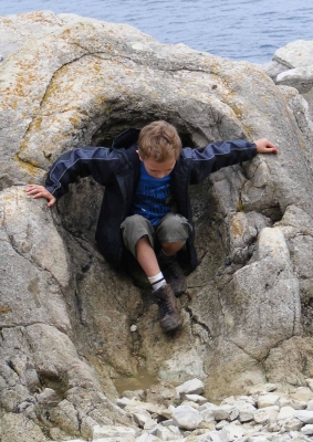 how-stromatolites-shaped-life