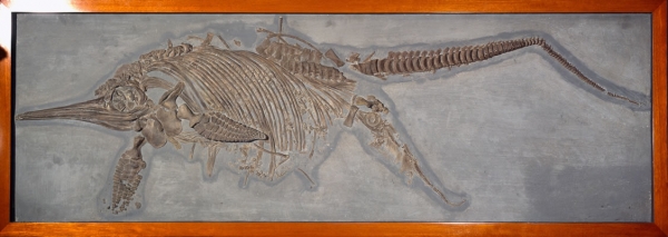 birth-and-death-on-earth