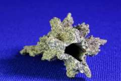 FULGURITES: GLASS AT THE SPEED OF LIGHTNING