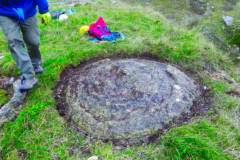 Jurassic fossil stromatolite from King’s Barrow Quarry, Portland (Alan Holiday)