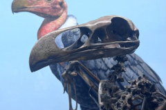 Peter-Doyle-birds-in-a-sticky-situation