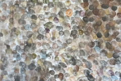 eva-ammolite-formation (7) 1