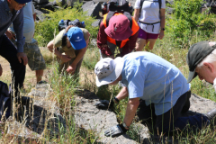 Fossil-search-1