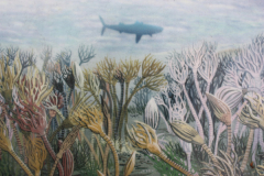 Palaeoenvironment