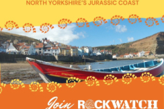 Staithes Field Trip (Instagram Post) - 1