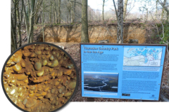 thorndown-pebble-hunt