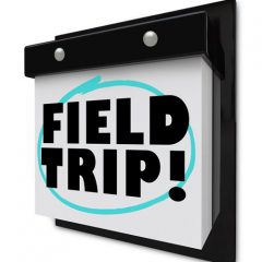 More Field Trip Dates Added for Rockwatchers