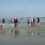 Fossil Hunt to Bracklesham Bay, West Sussex - Monday 10 April 2017
