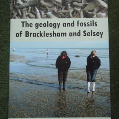 New books for keen Fossil Hunters