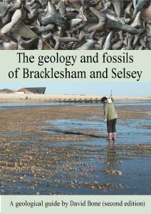 The Geology and Fossils of Bracklesham and Selsey by David Bone