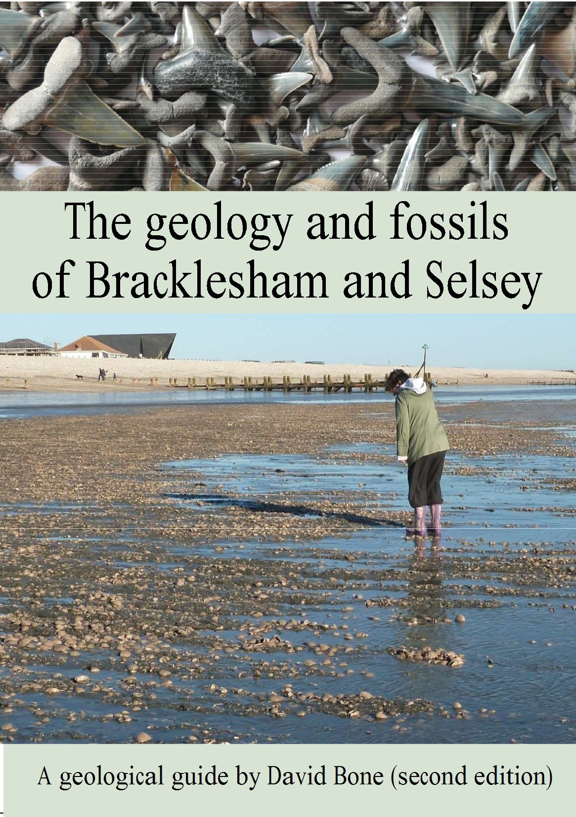 The Geology and Fossils of Bracklesham and Selsey by David Bone