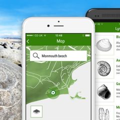 Vital for fossil hunters!  New NHM Fossil Explorer app.