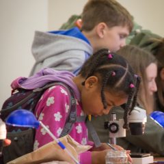 Rockwatchers at the Festival of Geology