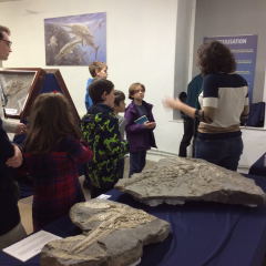 Rockwatch with the Ichthyosaurs in Somerset