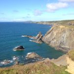 South Wales annual weekend fieldtrip to Pembrokeshire - Sat 14 to Sun 15 July 2018