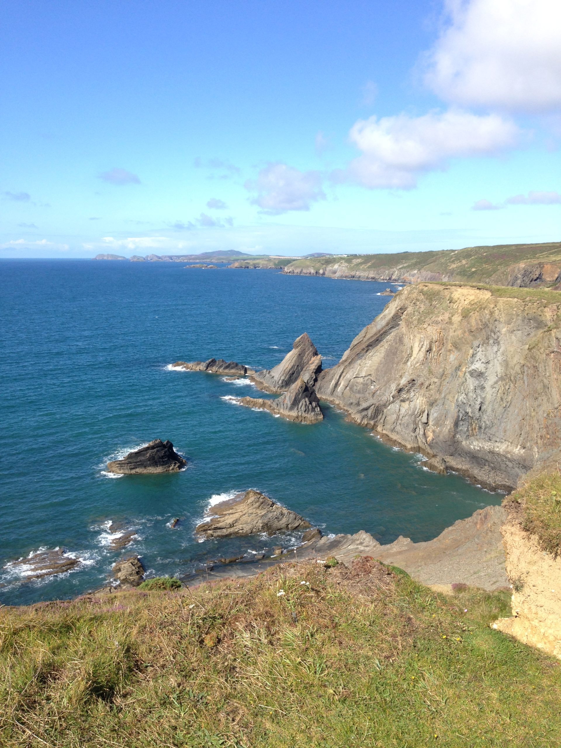 South Wales annual weekend fieldtrip to Pembrokeshire - Sat 14 to Sun 15 July 2018