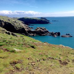 Pembrokeshire weekend for Rockwatchers!