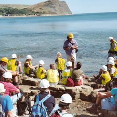 Fossil hunting and geology on the Dorset Coast 29 July – 2 August