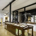 Behind the Scenes at the Lapworth Museum of Geology, Birmingham - Saturday February 16