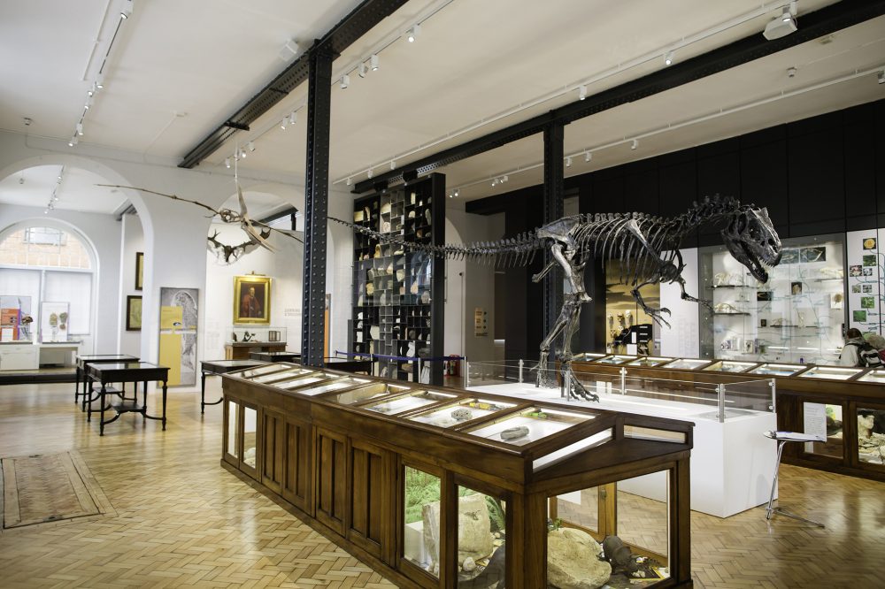 Behind the Scenes at the Lapworth Museum of Geology, Birmingham - Saturday February 16