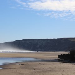 Yorkshire Coast Fieldtrip – Saturday 20 July