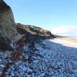 Fieldtrip to the Yorkshire Coast on Saturday 20 July - 2019