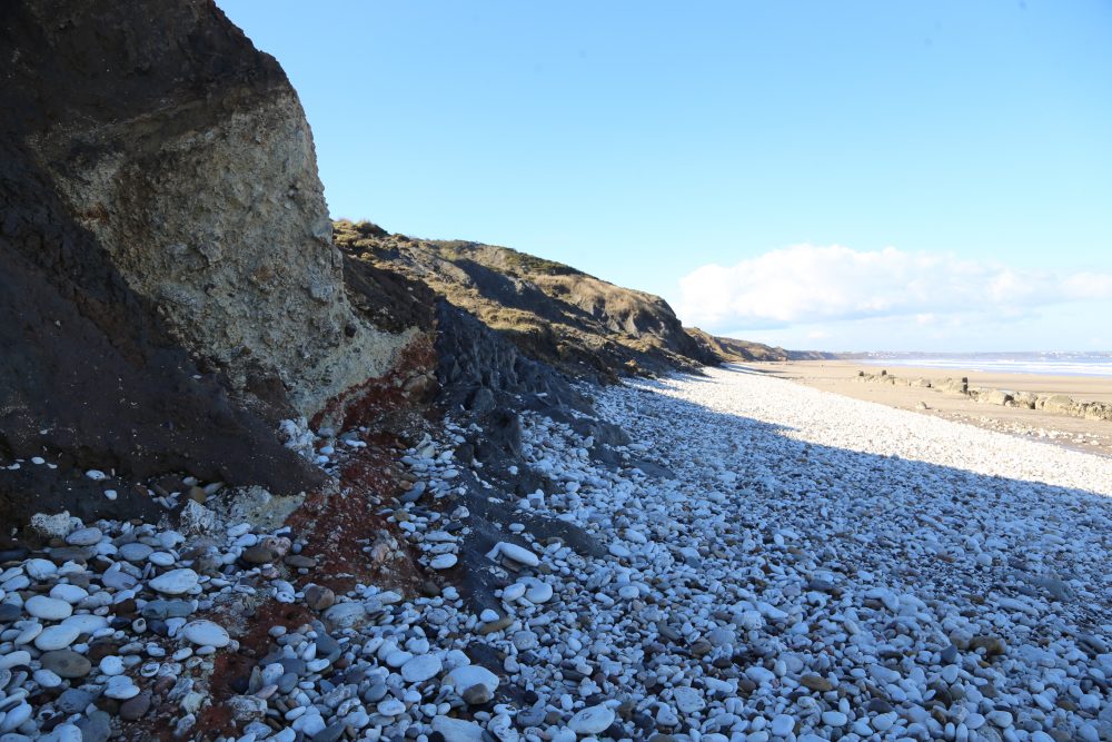 Fieldtrip to the Yorkshire Coast on Saturday 20 July - 2019