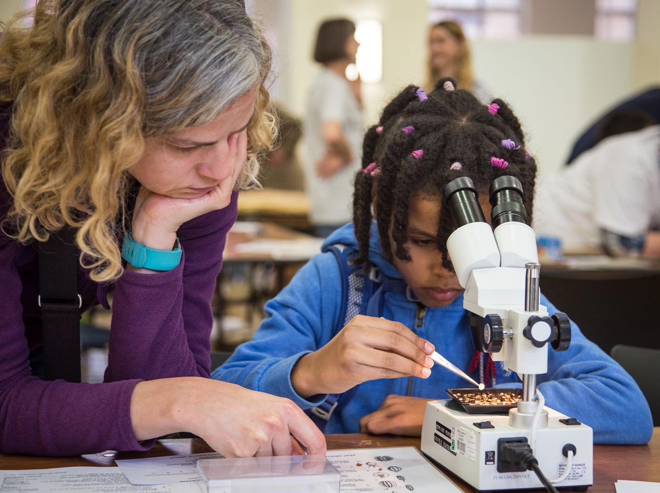 Festival of Geology at University College London on 2 November