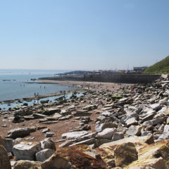 CANCELLED – Shipwrecks and Beach Hunt in Hastings on Saturday 5 April