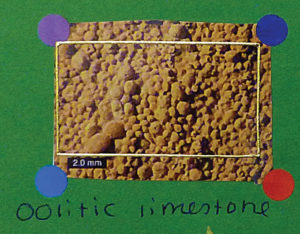 Oolitic Limestone