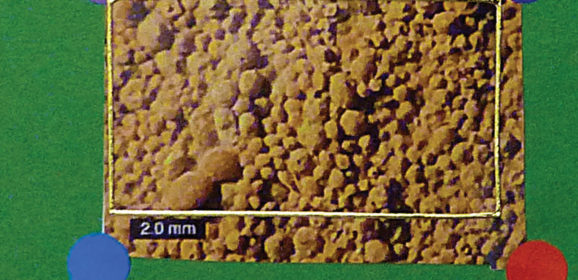 Edible Sedimentary Oolitic Limestone