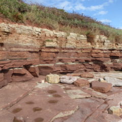 The Bendricks Fossilised Dinosaur Footprints in South Wales