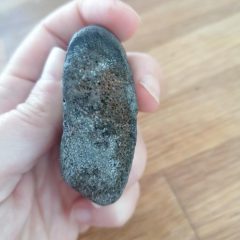 Freya’s Dinosaur Bone Discovery at Compton Bay