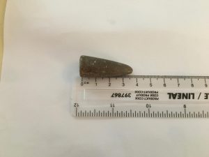 Katie's Belemnite Fossil was found at home in the gravel
