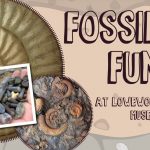 Fossil Fun at Lowewood Museum