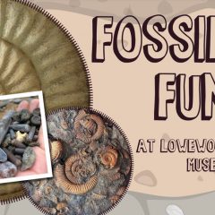 Join Rockwatch and Lowewood Museum for some Fossil Fun!
