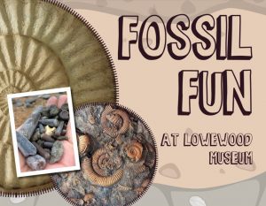 Fossil Fun at Lowewood Museum