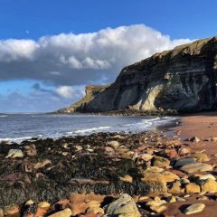 Join us in Whitby this weekend for our next Field Trip