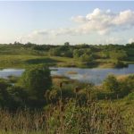 Field Trip to Kings Dyke Nature Reserve, Peterborough